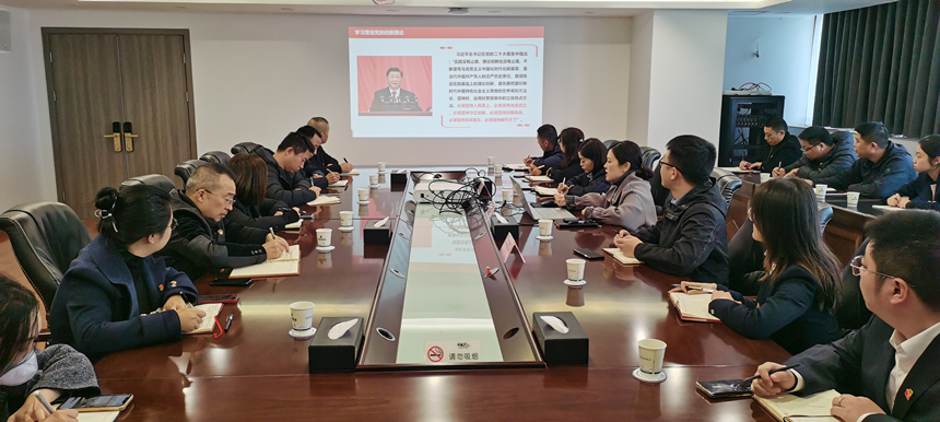 集團(tuán)黨委委員、副總經(jīng)理賀維維同志講授專題黨課