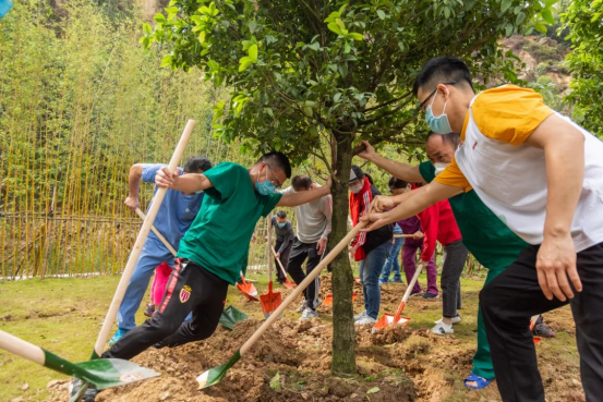 1605496096785495.png image.png